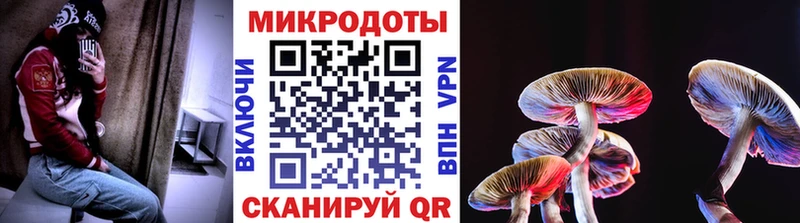 Купить закладки  Володарск  Псилоцибиновые грибы мухоморы 